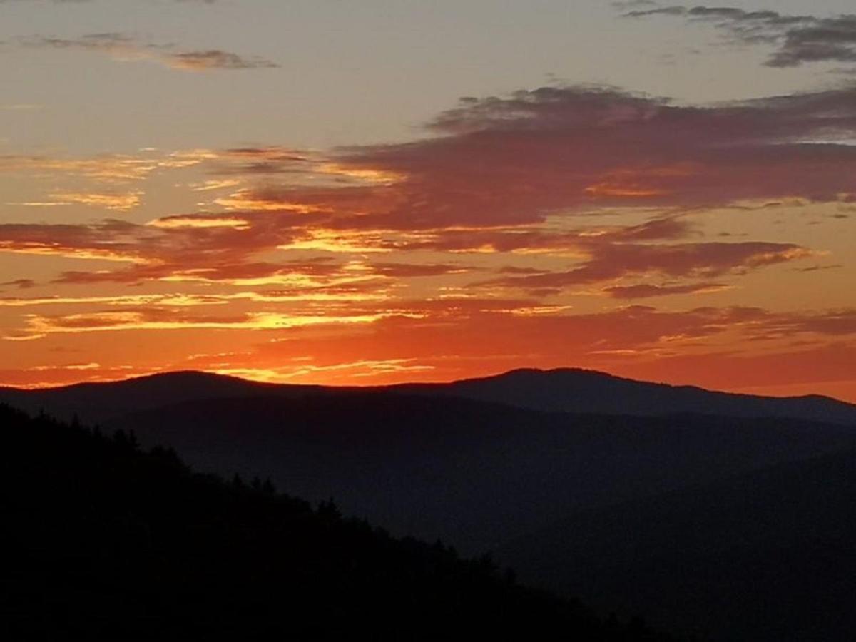 Ferienland Sonnenwald Fewo 46 Und Studio 50 In Schoefweg Bayerischer Wald Eksteriør bilde