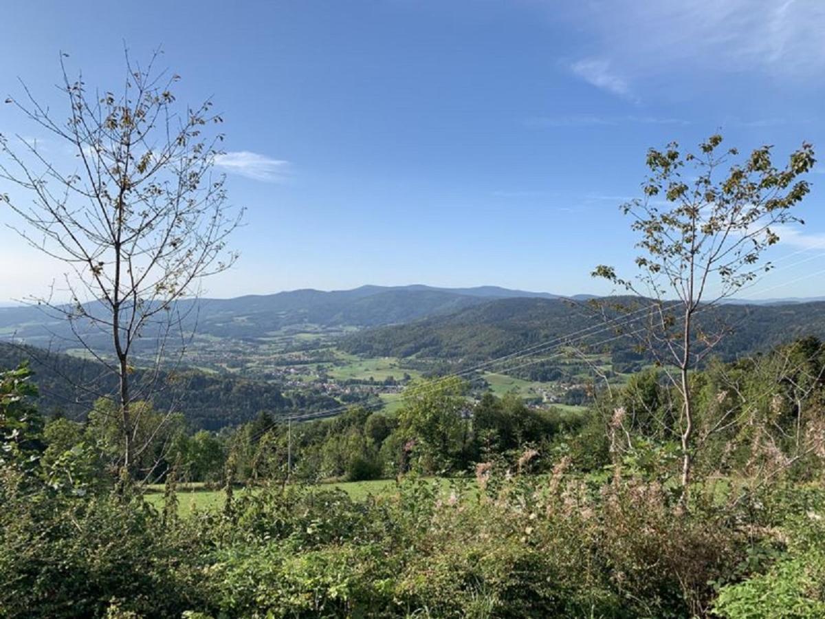 Ferienland Sonnenwald Fewo 46 Und Studio 50 In Schoefweg Bayerischer Wald Eksteriør bilde