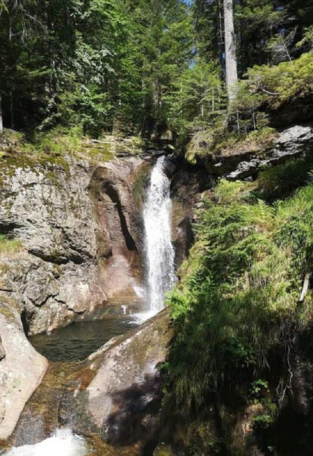 Ferienland Sonnenwald Fewo 46 Und Studio 50 In Schoefweg Bayerischer Wald Eksteriør bilde