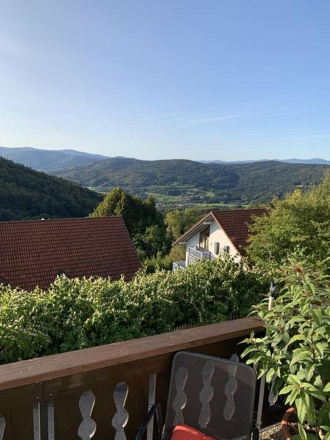 Ferienland Sonnenwald Fewo 46 Und Studio 50 In Schoefweg Bayerischer Wald Eksteriør bilde