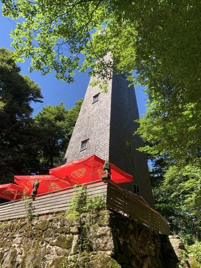 Ferienland Sonnenwald Fewo 46 Und Studio 50 In Schoefweg Bayerischer Wald Eksteriør bilde