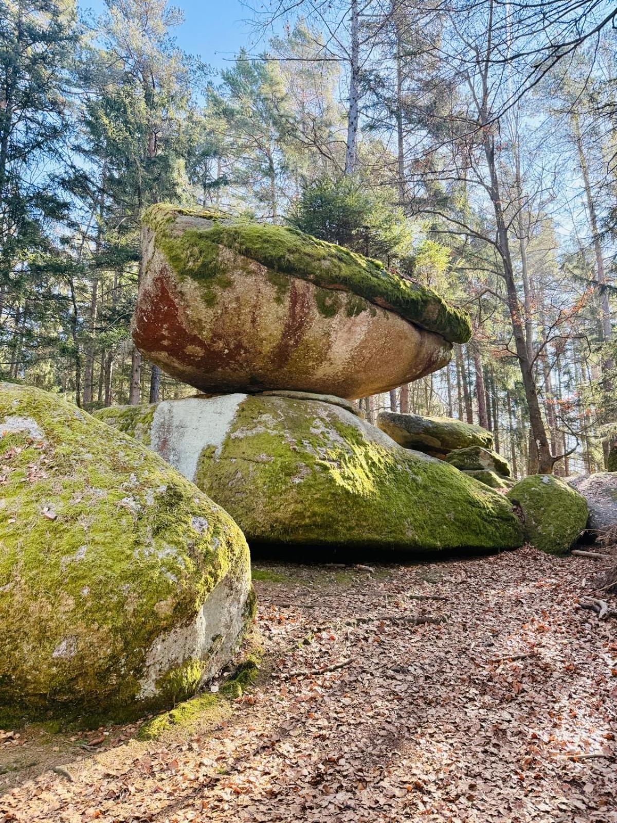 Ferienland Sonnenwald Fewo 46 Und Studio 50 In Schoefweg Bayerischer Wald Eksteriør bilde