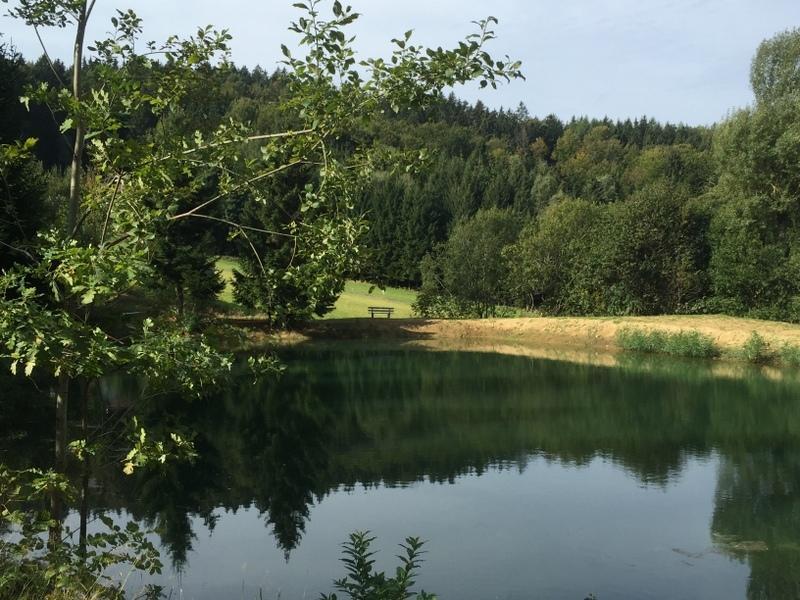 Ferienland Sonnenwald Fewo 46 Und Studio 50 In Schoefweg Bayerischer Wald Eksteriør bilde
